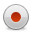 Record Button Icon